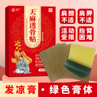 Gastrodia elata through bone paste fall sprain knee lumbar spine cold paste joint pain paste wholesale factory direct sales