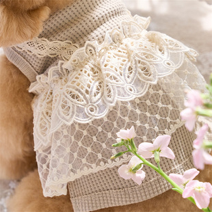 Spring and Summer Pet Clothes Puppy Teddy Bome Poodle Cat Waffle Lace Two-legged Coat Small Dog