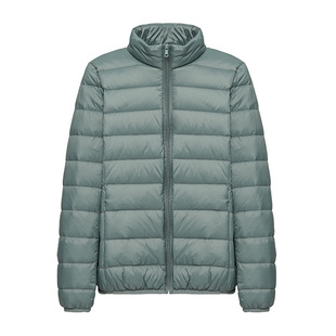 Cross-border Down Jacket Women's 2022 New Short Stand Collar Lightweight Fashion Slim-fit Warm Duck Down Women's Jacket