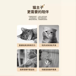 Дразнящая кошачья палочка игрушка кошачья маленькая кошка истощает энергию от привет