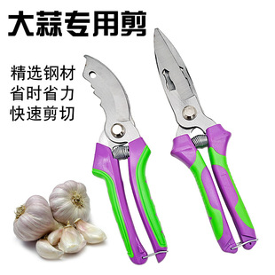 New Multi-Purpose Scissors for Cutting Garlic, Medicinal Herbs, Onions, Garlic Beards, Garlic Heads, Garlic Roots, and Garlic Sprouts, Specialized Scissors for Garlic Farmers
