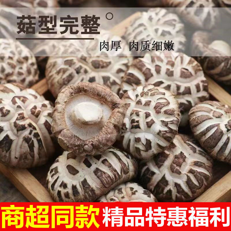 【린목버섯】고기질이 풍부한 건조버섯, 푸젠성 구티안산 신선버섯, 공장 도매
