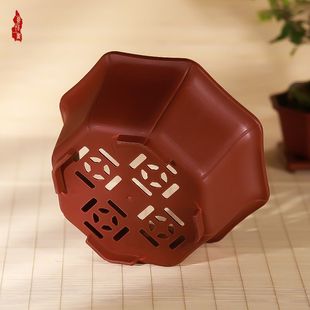 Creative star anise flowerpot thickened succulent plant Jasmine potted small bonsai simple indoor imitation purple sand resin pot