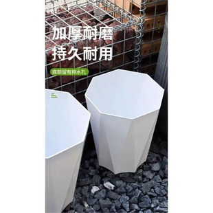 Large Diamond Pot Thickened Resin Plastic Living Room Green Planting Flower Pot Turtle Bamboo Fortune Tree Internet Celebrant Flower Pot Bird of Paradise