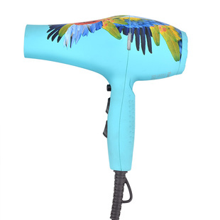Fashion parrot hair dryer barber shop hair blowing high power low mania super long wire hair dryer household hair dryer