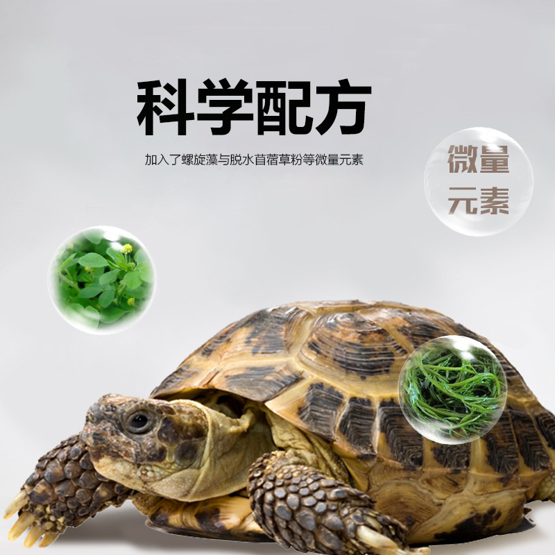 거북이 음식 마초 숲 사막 건조지 스카다 레오파드 무늬 방사선 붉은 다리 마츠 거북 스피루리나 거북 음식