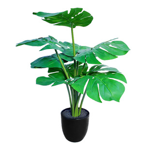 Nordic Simulation Green Plant Simulation Turtle Leaf Potted Plant Indoor and Outdoor Window Landscape Decoration Decoration Simulation Plant Bonsai
