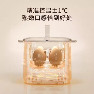 Germany 2025 New Egg Boiler Household Dormitory Small Multifunctional Egg Boiling Artifact Timing Egg Steamer