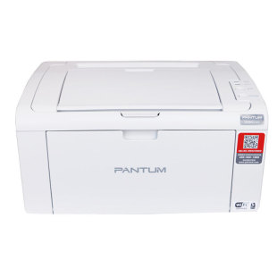P2506W black and white laser printer