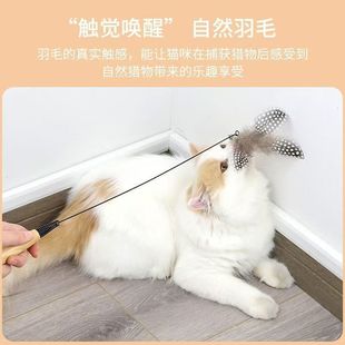 Cat Toy CFA Class Wooden Handle Cat Fun Stick Pearl Feather Replacement Head Self-Hi Fun Cat Toy Pet Supplies