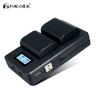 DMW-BLF19E for Panasonic SLR camera battery DMC-GH3/4/5S G9LGK charger set