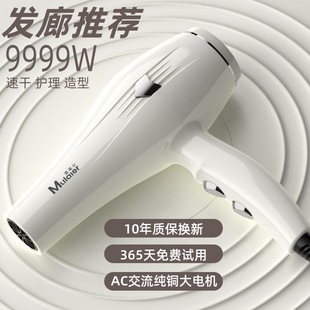 [Factory Wholesale] Barber Shop Special Hair Dryer High Power Large Wind Hair Dryer Appliances Household High Power