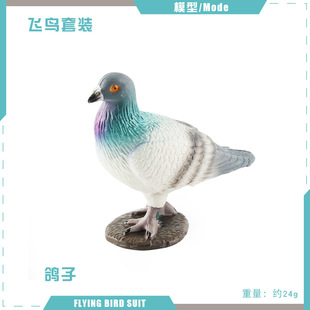Моделирование хит продаж зимородок сорока голубь большая кукушка синий Wren краснопузатый синица птица модель животного игрушка