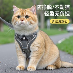 Cat Traction Rope Anti-break Out Special Cat Walking Rope Pet Strap Chain Adjustable Cat Walking Artifact Anti-loss