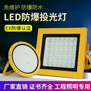 Industrial Free Anti-maintenance LED Explosion-proof Lamp High-poWer Special Lighting 50W200W100W Efficient Energy-saving Outdoor
