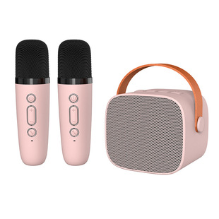 P2 double microphone wireless bluetooth small speaker with microphone family portable mini stereo outdoor karaoke integrated stereo