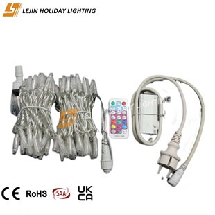 Professional Customized Transparent Pvc Bubble Shell Light String Outdoor Decorative Lantern 220V Waterproof Rgb Colorful Synchronous Light String