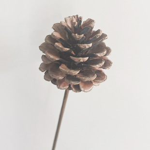 Dried Flower Handmade Sticky Flower Photo Props Pine Cone Pine Tower Flower Arrange Props Club Soft Home Decoration Combination
