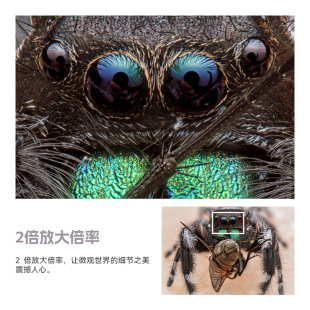Mingjiang 100mm F2.8 hundred micro shift shaft macro lens suitable for E Nikon Z insect flower shooting