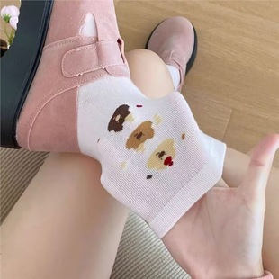 Puppy College Carto Socks Japanese Style Ins Girl Cute Animal Spring and Autumn Socks Striped Trendy Bow Women's Mid-Autumn Socks