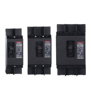 DZ15-100/2901 3901 Thermomagnetic Plastic Case Circuit Breaker Air Switch Black Delixi