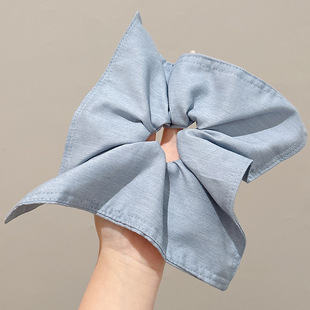 Super fairy pig large intestine hair ring hair rope 2025 new fat intestine rubber band women's hair rope forest girl hair accessories