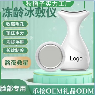 Frozen Age Ice Compress Facial Ice Repair Edema Small Ice Hammer Cold Compress Beauty Instrument Skin Massage Ice Hammer Cold Compress Instrument