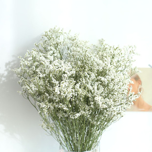 Юньнань True Flowers Сухие цветы Натуральные сушеные белые хрустальные травы Украшения для дома Сухие цветы оптом