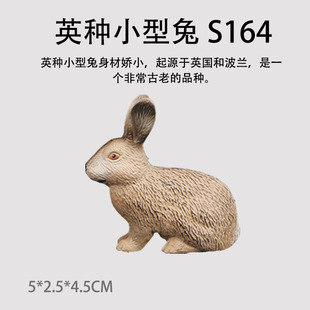 Simulation Solid Animal Rabbit Toy Pet Cat Model Dutch Rabbit Begonia Rabbit Persian Cat Siamese Cat Mumbai Cat