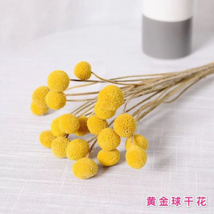 Artificial decoration natural dried pine cone material photography props layout cotton floral garland accessories cinnamon