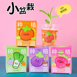 Children's Desktop Mini Potted Planting Blind Box Small Potted Kindergarten DIY Observation Room Plant Primary School Student Seeds