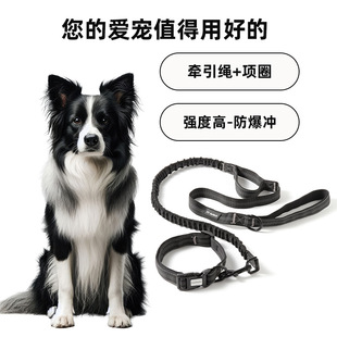 Retractable Traction Rope Large Dog Rope P Rope Brendition Dopamine Dog Walking Rope Anti-bite Cross-border Explosion-proof Rush