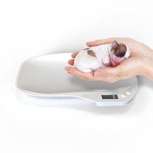 High-precision intelligent small pet scale cat dog weight scale ABS household kitchen baking electronic gram scale