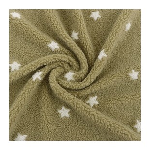 Paris spring embroidery particles Kirin velvet embroidery five-pointed star flannel home clothing bedding sofa toy fabric