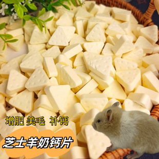 Hamster cheese goat's milk calcium tablets molars snacks to enhance nutrition golden bear cuttlefish mouse special factory a wholesale