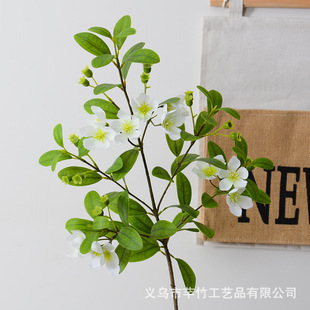 Ins Cyber Celebrity Simulation Green Plant Myrtle Simulation Horse Drunken Wood Home Decoration Photography Props Homestay Floral Ornaments