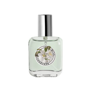 Cheap Niche Brand Osmanthus Sakura White Tea Perfume for Men and Women Lasting Light Fragrance Fresh Female Student genuine goods Brand