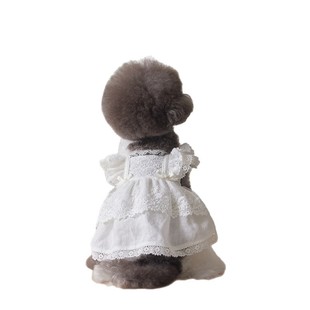 2025 pet dog cat clothes spring and summer cotton lace skirt marzis small dog wholesale
