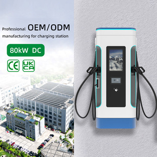GB/T American Standard CCS1 European Standard CCS2 DC Charging Pile Nine-hole Household Commercial Fast Charging OCPP Personalization