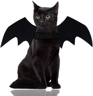 Halloween props pet bat wings dress up big dog kitten pet bat wings transform dress up costume