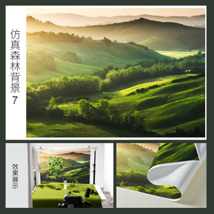 Forest creative background cloth photography props ins decorative ornaments small objects product photo shooting scene Moss