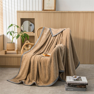 Beibei Velvet Blanket Autumn and Winter Office Nap Blanket Air Conditioning Sofa Cover Blanket Pineapple Coral Velvet Bed Sheet