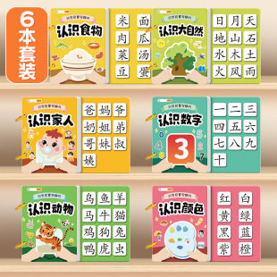 Literacy Book Children's Recognition Enlightenment Early Education Quiet Book Children's Literacy Card Full Set Kindergarten Baby Cognition