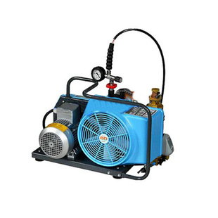 MSA 9960003 comes standard with 300bar inflator high pressure breathing air compressor