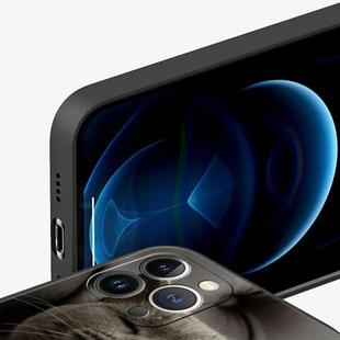 Подходящий чехол для Apple iPhone британский короткошерстный чехол для мягкой оболочки iPhone 16 15 14