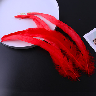 DIY accessories 20-30cm color cock feather cock off white tail stage props jewelry crafts X20