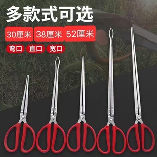 Monopterus albus clip eel clip loach crab non-slip catch lobster special catch sea artifact tool fire tongs Monopterus albus clip