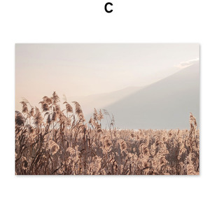 Foreign Trade Explosions Nordic Modern Autumn Plant Reed Desert Landscape Living Room Bedroom Poster Canvas Decorative Painting Core