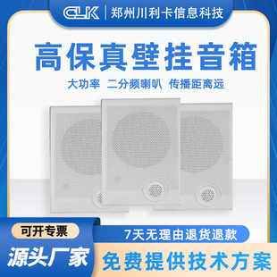 Public Broadcast Corridor Speaker Shopping Mall Supermarket School High Volume Wall-Mounted Speaker Speaker Indoor Audio