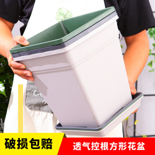 Thickened square high breathable root control basin Nordic plastic gallon basin flower wire Lotus Rose large diameter square basin